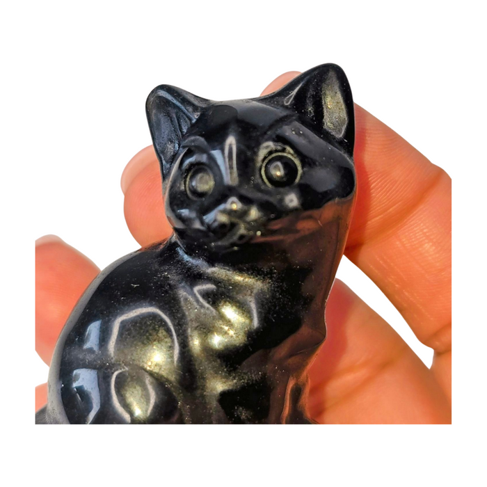 Black Obsidian Cat