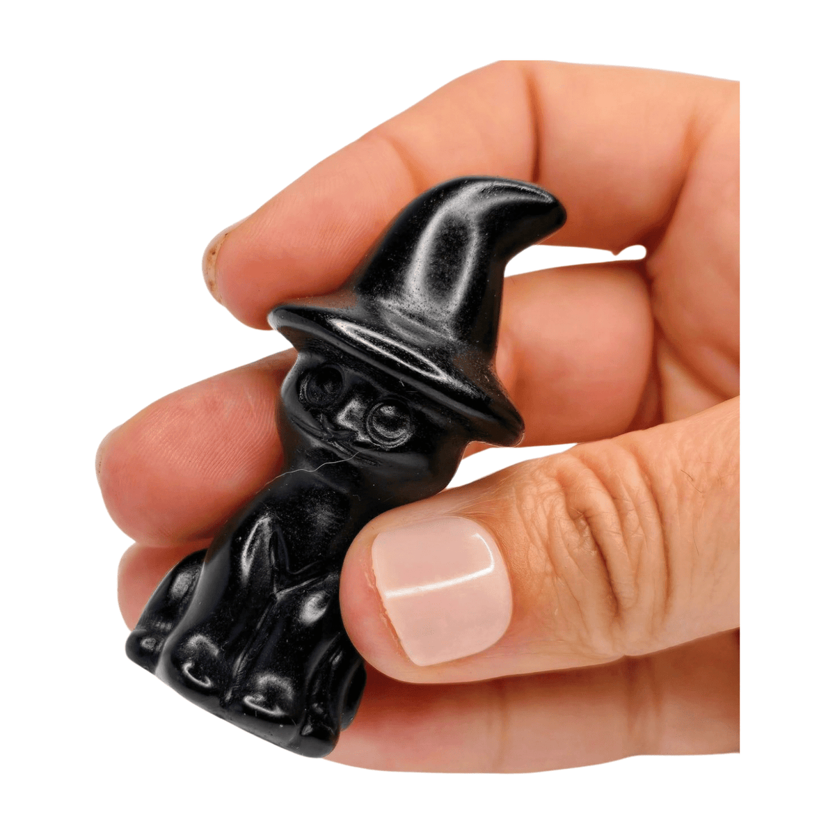 Obsidan Cat with Hat