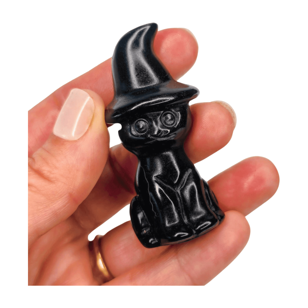 Obsidan Cat with Hat