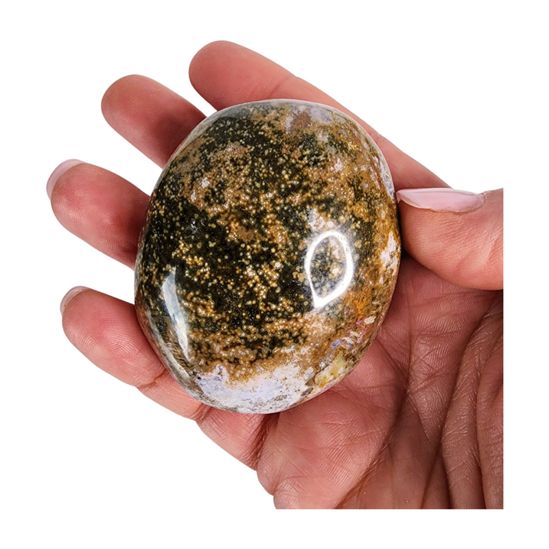 Ocean Jasper Palm