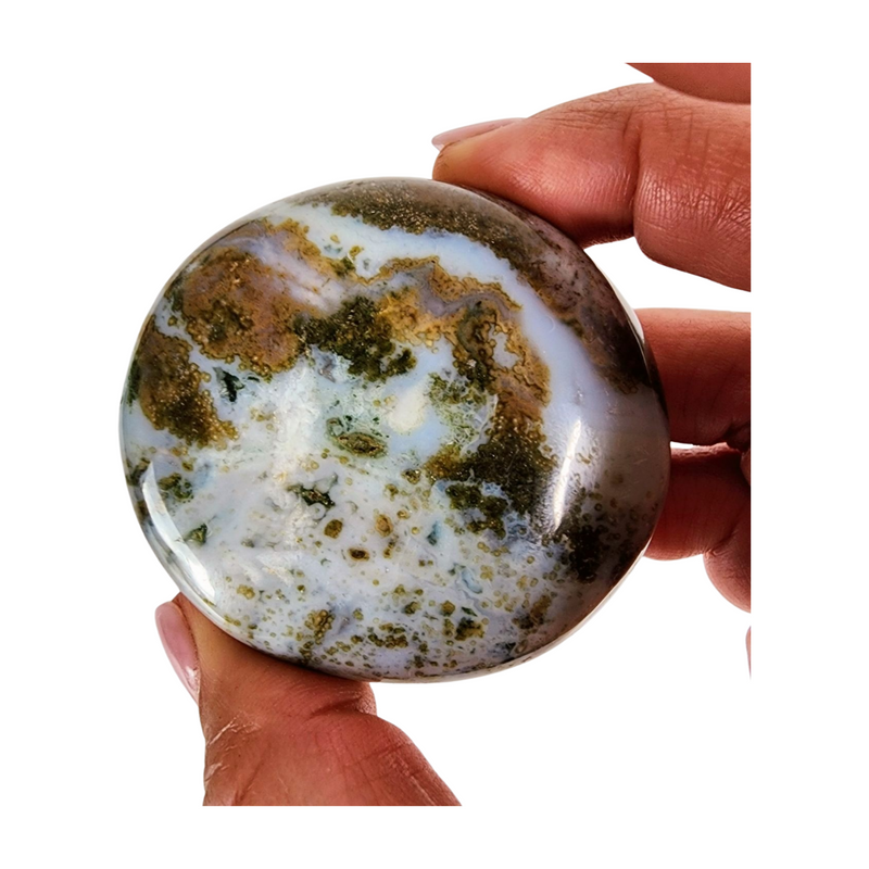 Ocean Jasper Palm