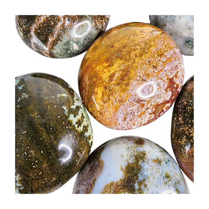 Ocean Jasper Palm