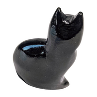 Onyx Cat