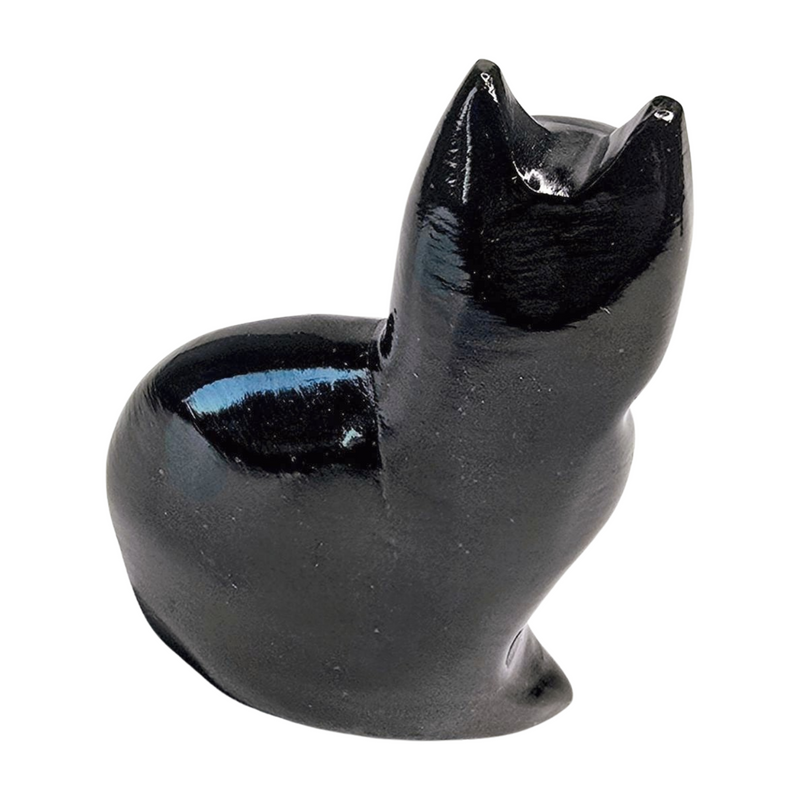 Onyx Cat