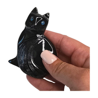 Onyx Cat