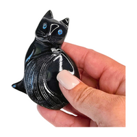 Onyx Cat