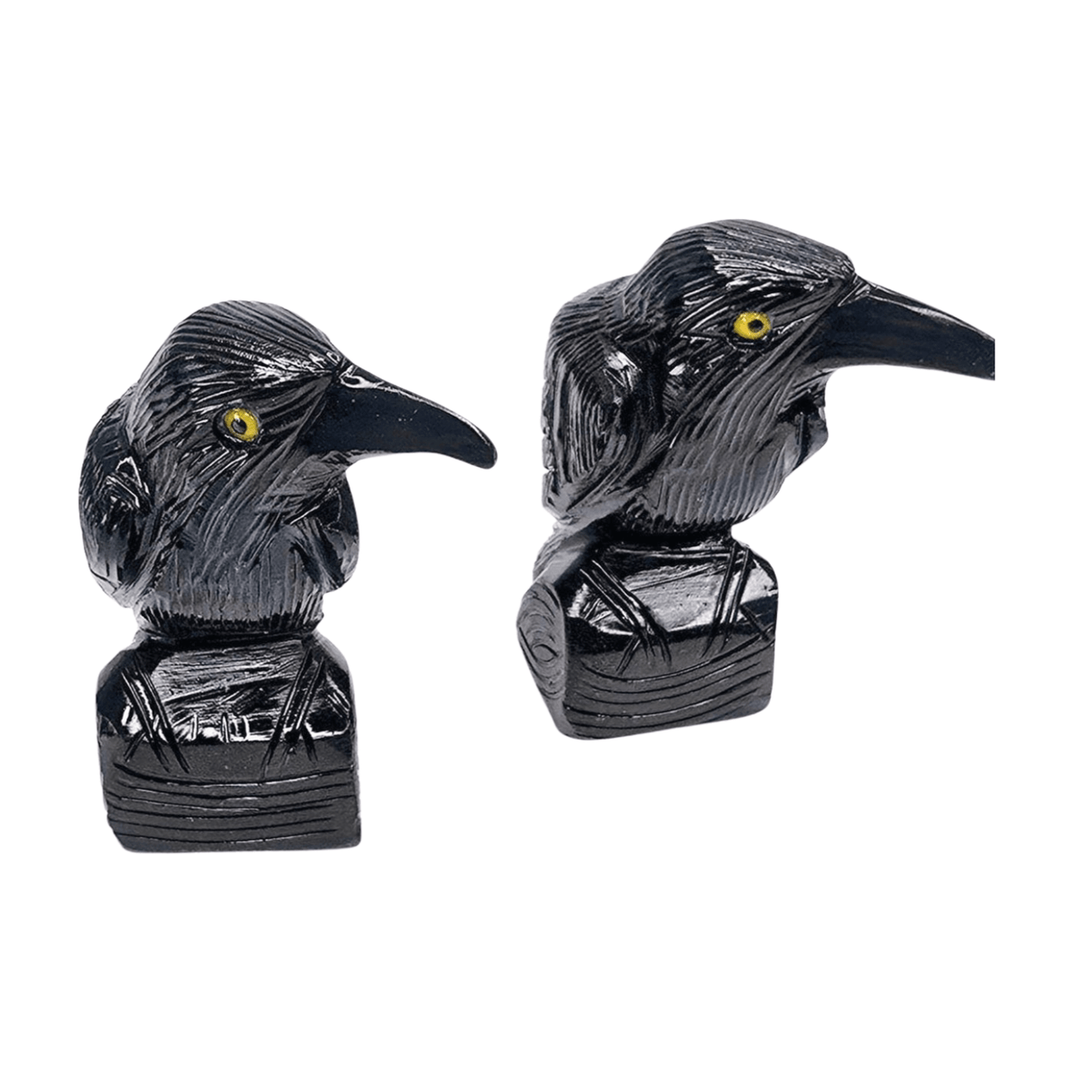 Onyx Raven