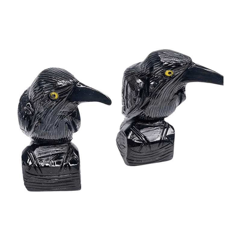Onyx Raven