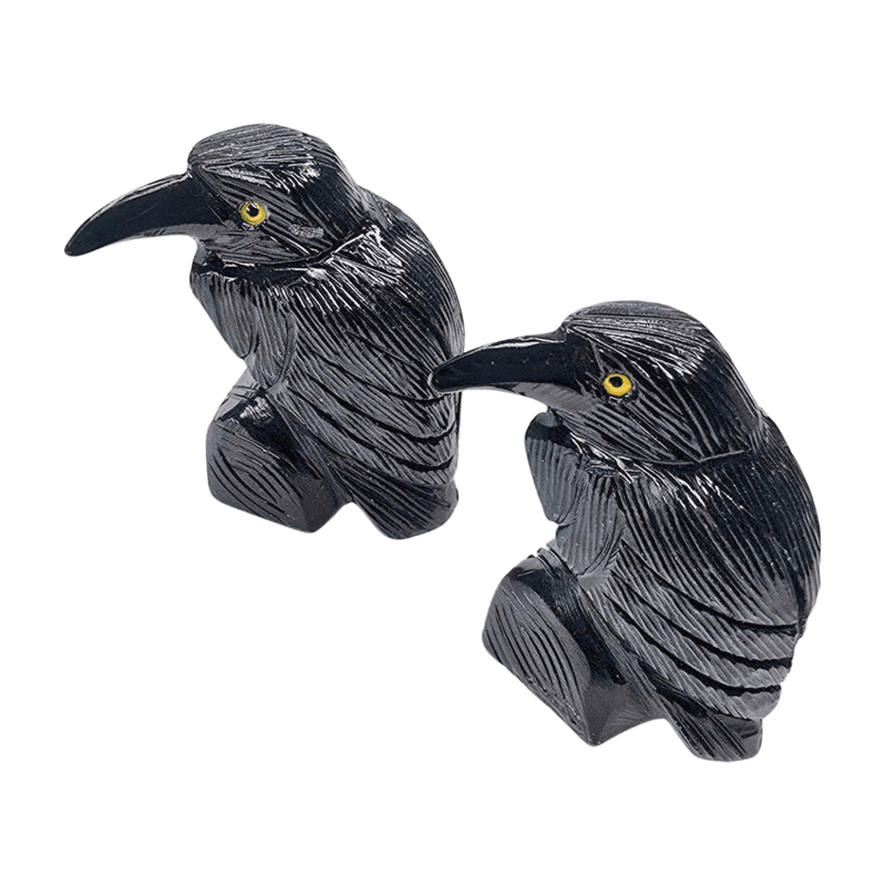 Onyx Raven