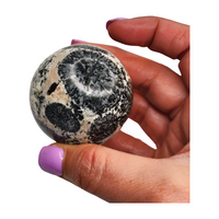 Orbiculite (Orbicular Granite) Sphere