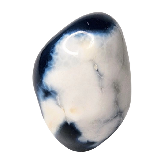 Orca Agate Free Form