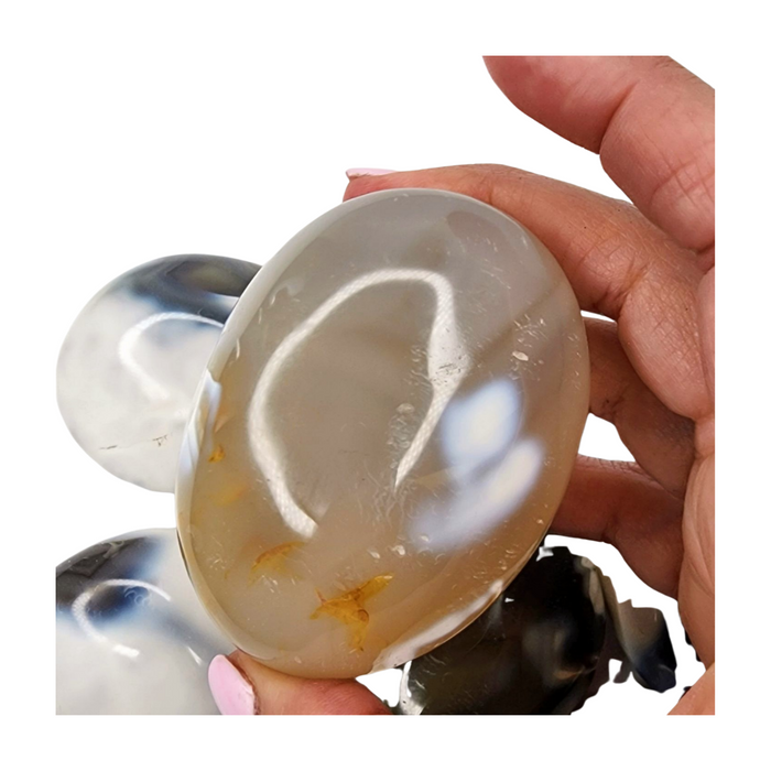 Orca Agate Palm Stone