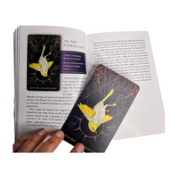 Orien's Animal Tarot