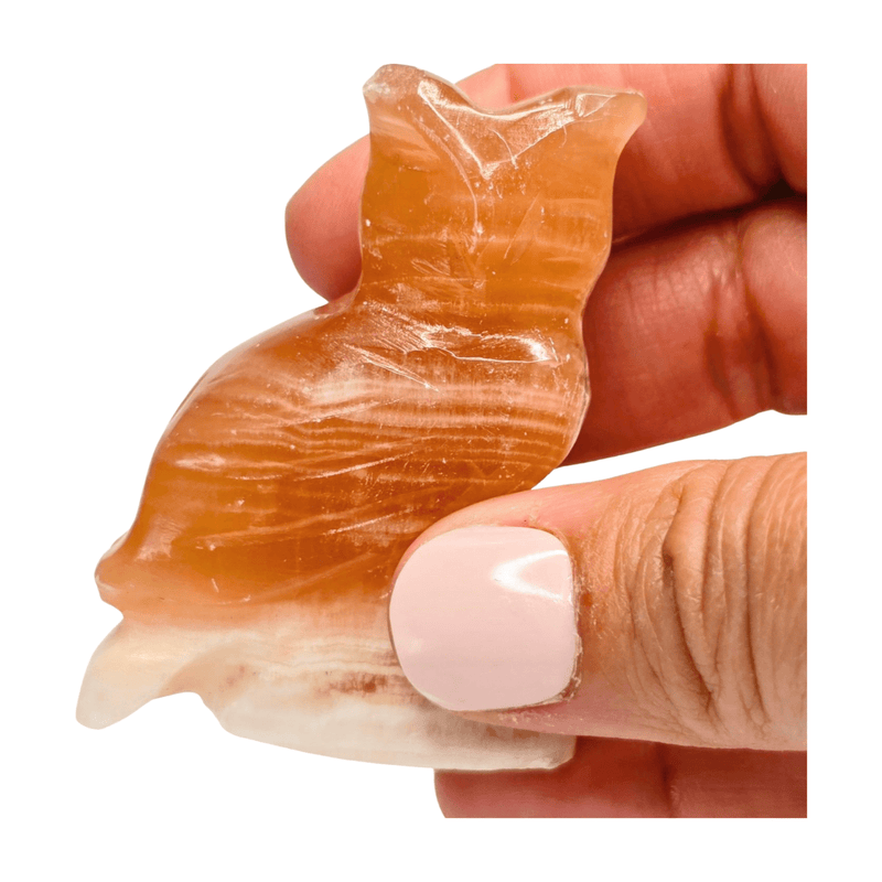 Calcite Owl