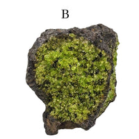 Peridot Specimen
