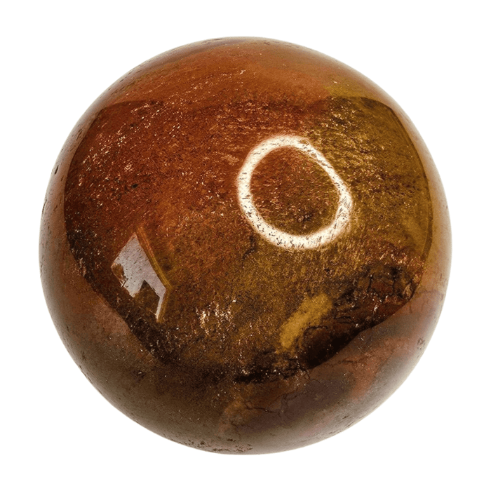 Petrified Wood Sphere