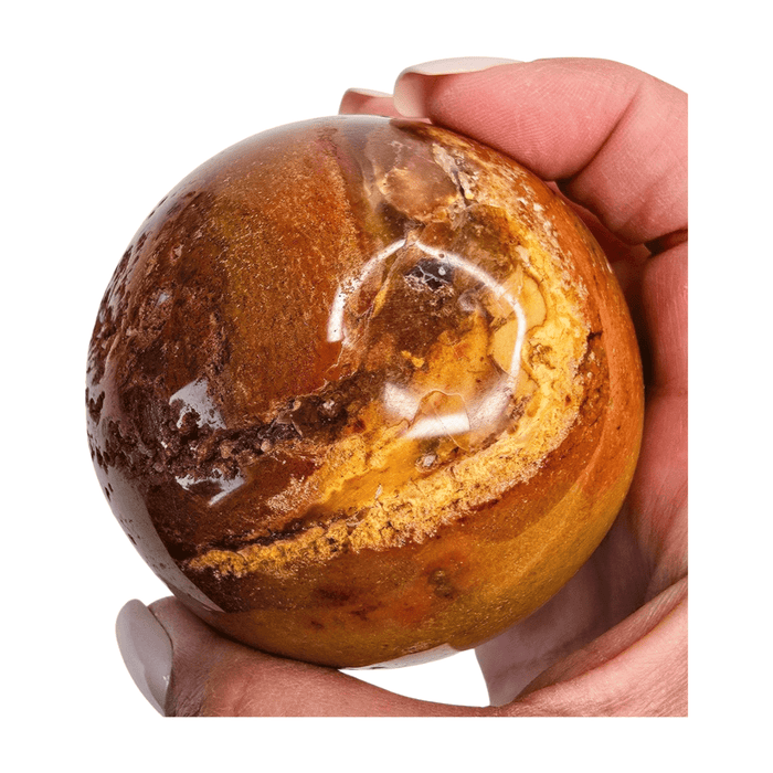 Petrified Wood Sphere