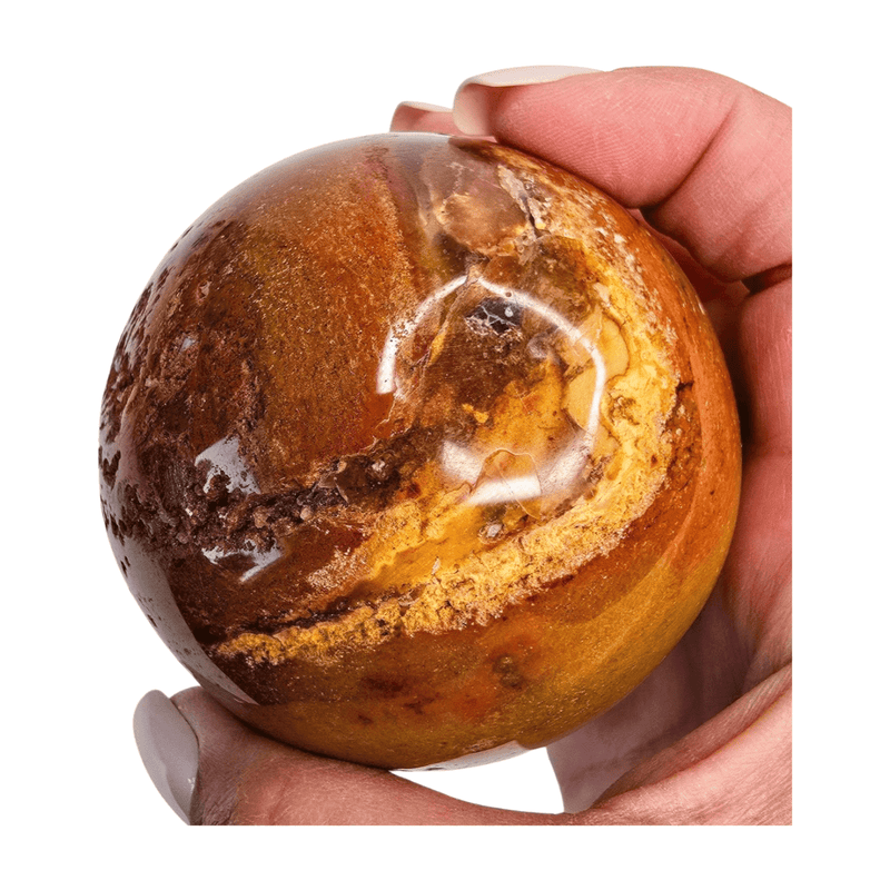 Petrified Wood Sphere