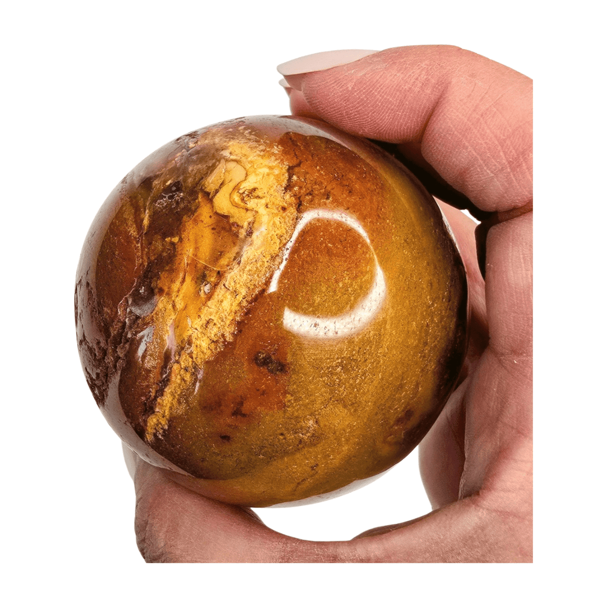 Petrified Wood Sphere