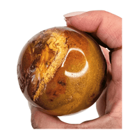Petrified Wood Sphere