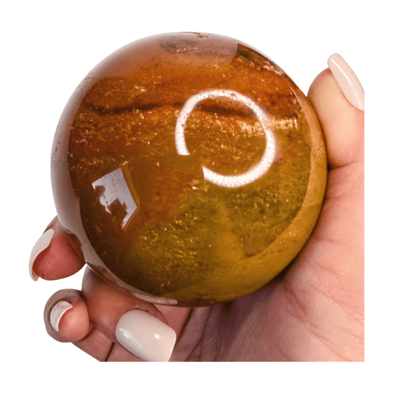 Petrified Wood Sphere