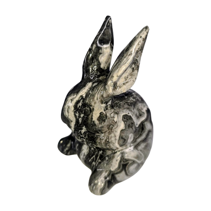 Picasso Jasper Rabbit