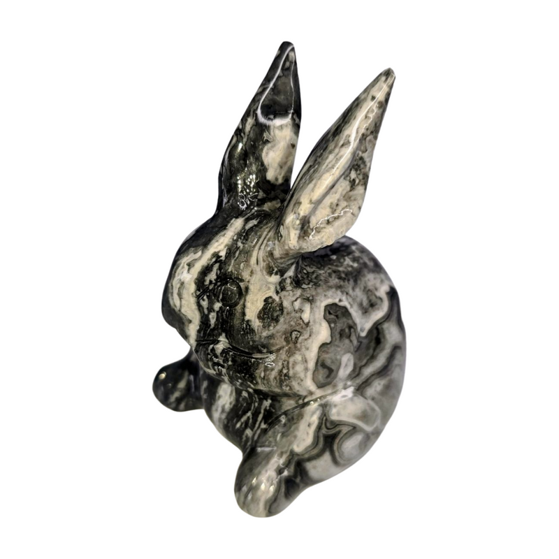 Picasso Jasper Rabbit