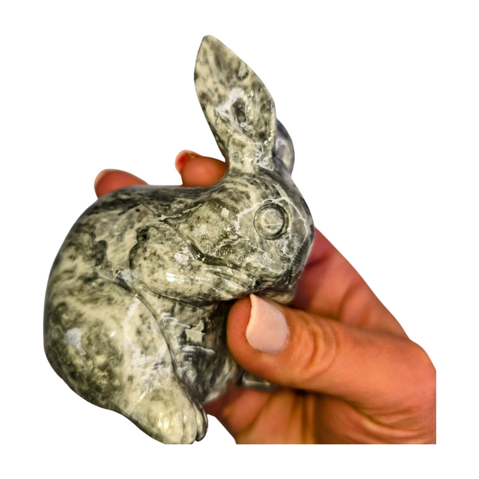 Picasso Jasper Rabbit
