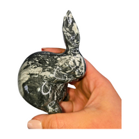 Picasso Jasper Rabbit