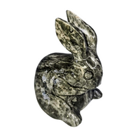 Picasso Jasper Rabbit
