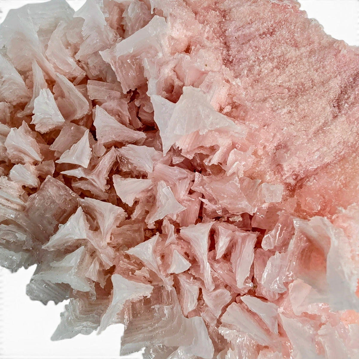 Pink Halite