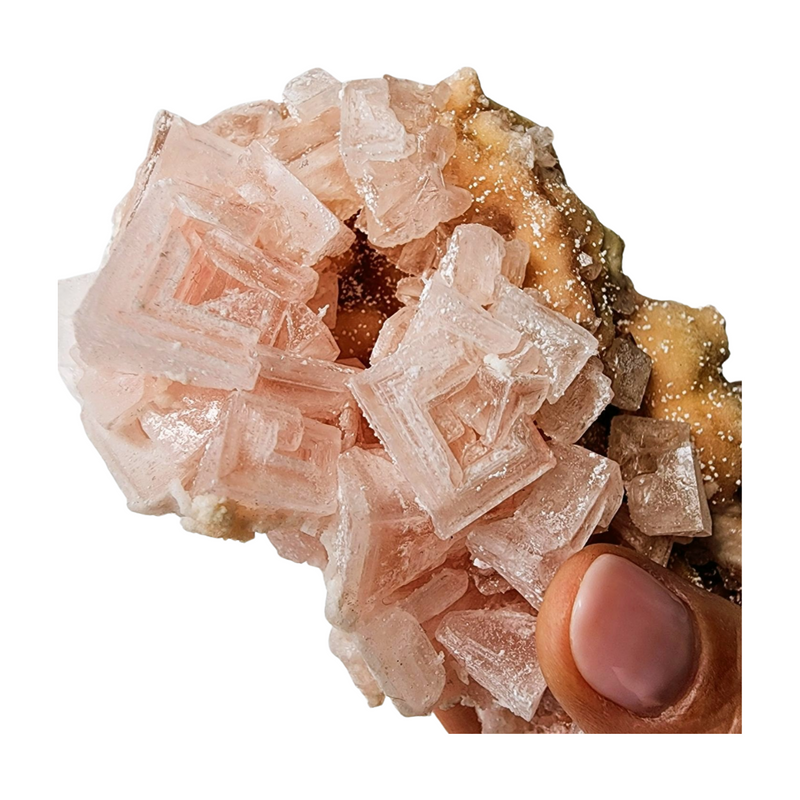 Pink Halite Specimen