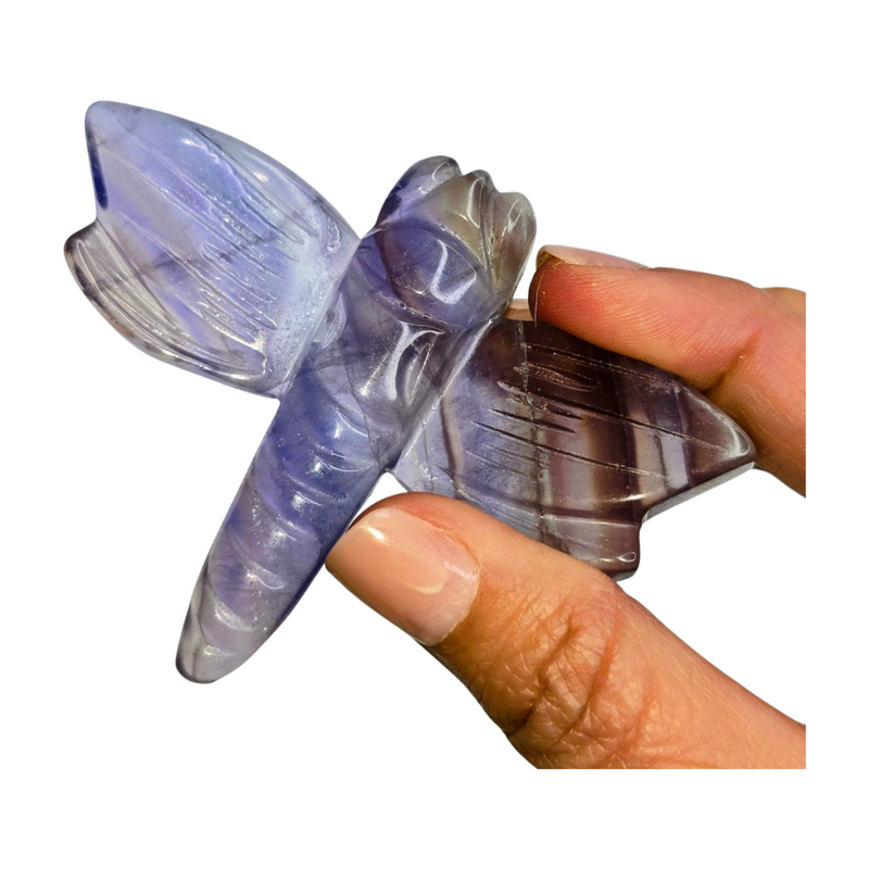 Purple Fluorite Dragonfly