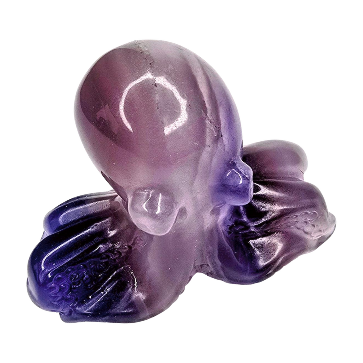 Fluorite Octopus