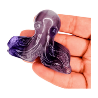 Fluorite Octopus