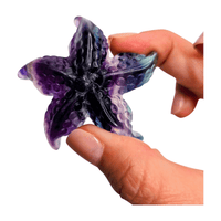 Fluorite Sea Star