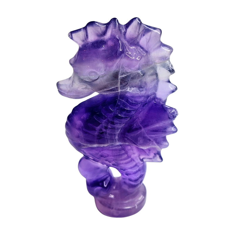 Purple Fluorite Seahorse