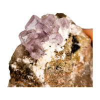 Purple Fluorite Specimen  - Medium