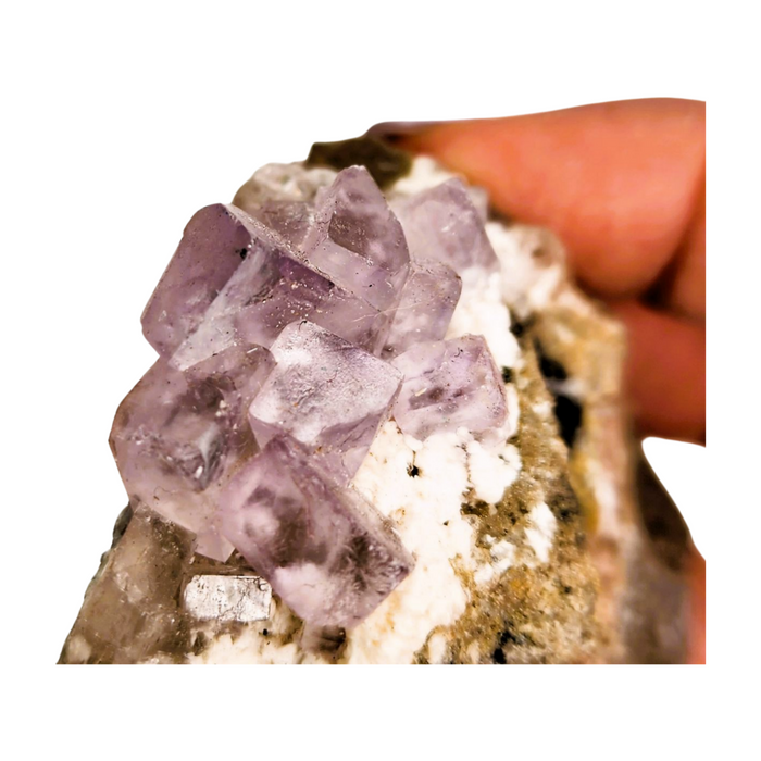 Purple Fluorite Specimen  - Medium