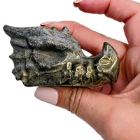 Pyrite Dragon Head