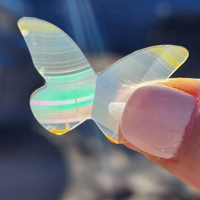 Rainbow Iris Agate Carving - Butterfly