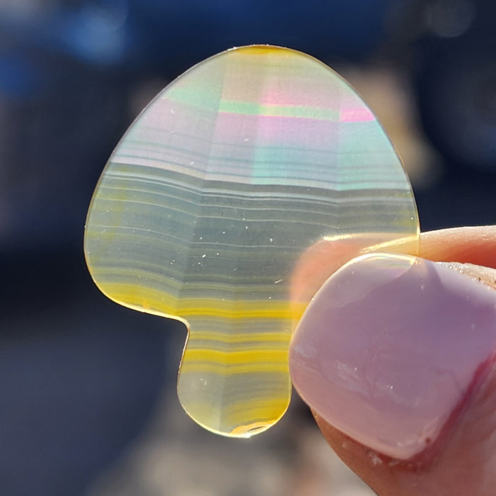 Rainbow Iris Agate Carving - Mushroom