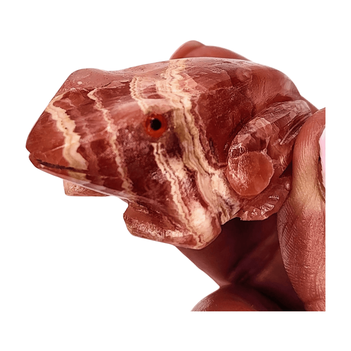 Rhodochrosite Frog