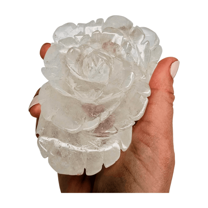 Rose quartz rose lamp, translucent clear stone flower held in hands