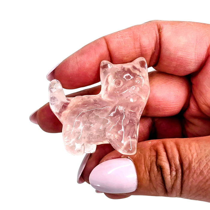Rose Quartz Cat