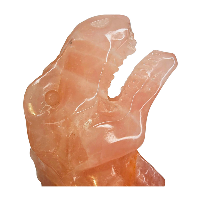 Rose Quartz T-Rex