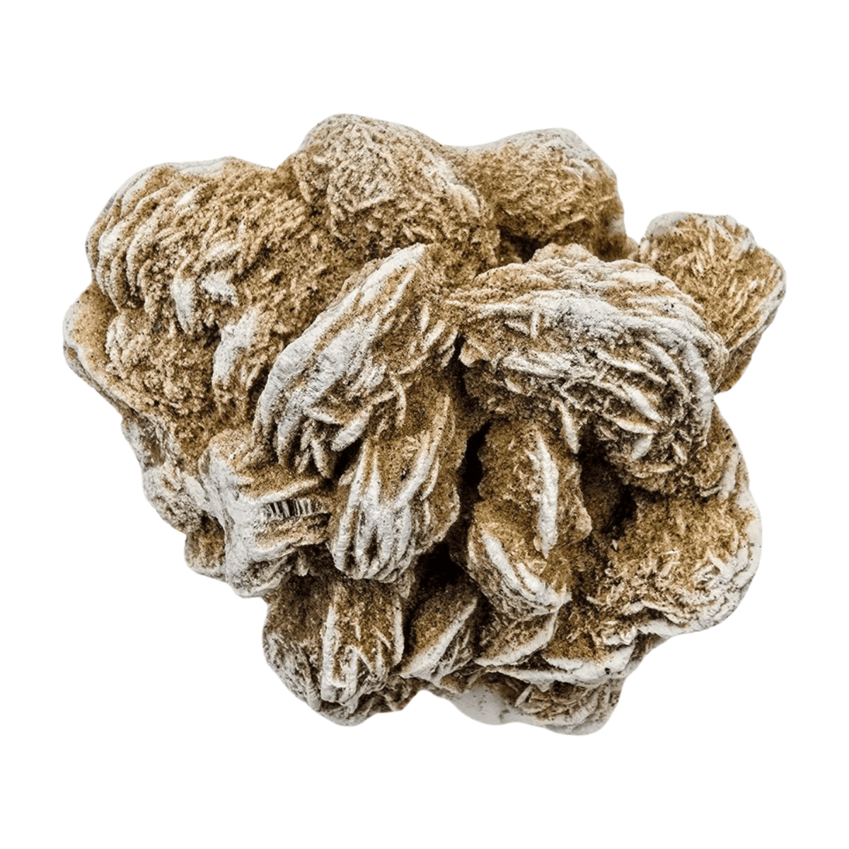 Selenite Desert Rose