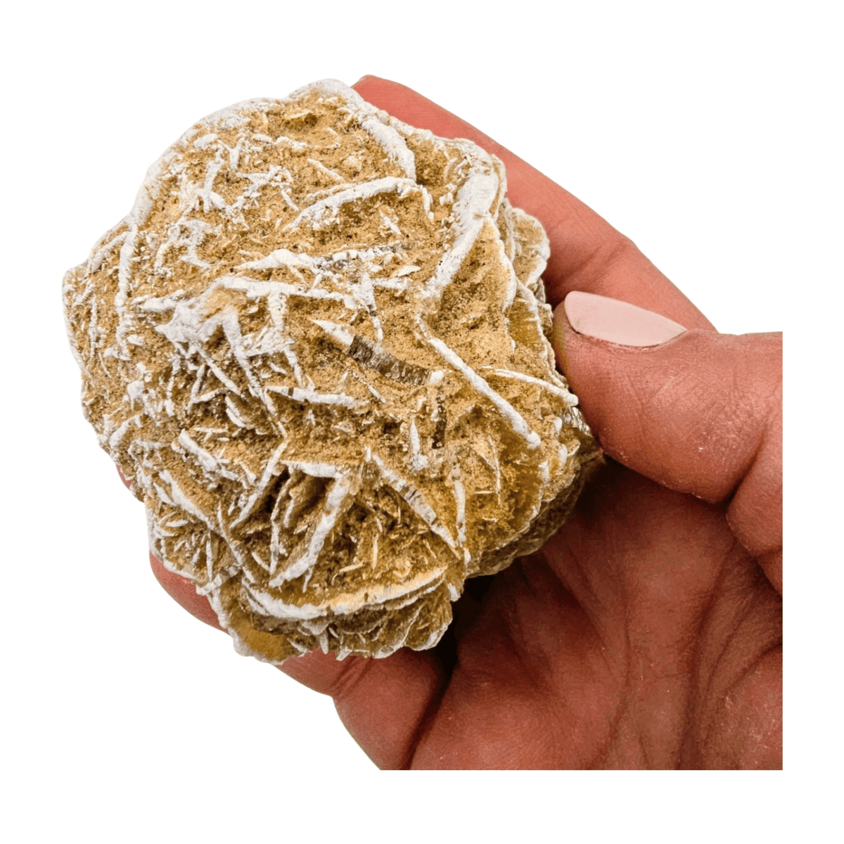Selenite Desert Rose