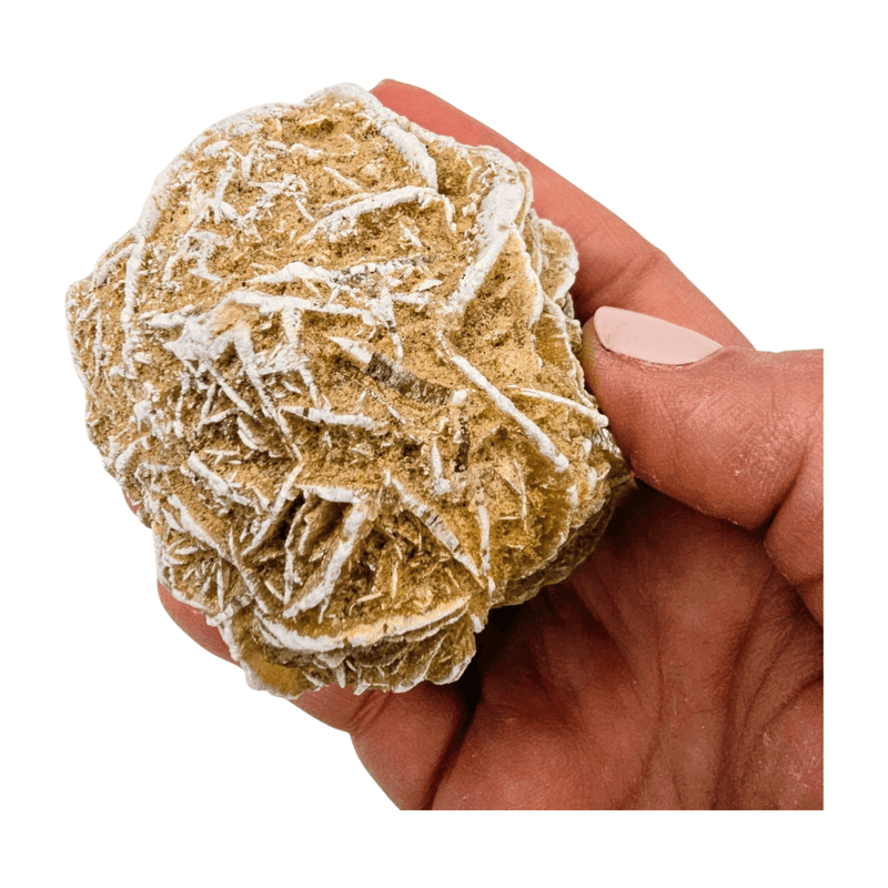 Selenite Desert Rose