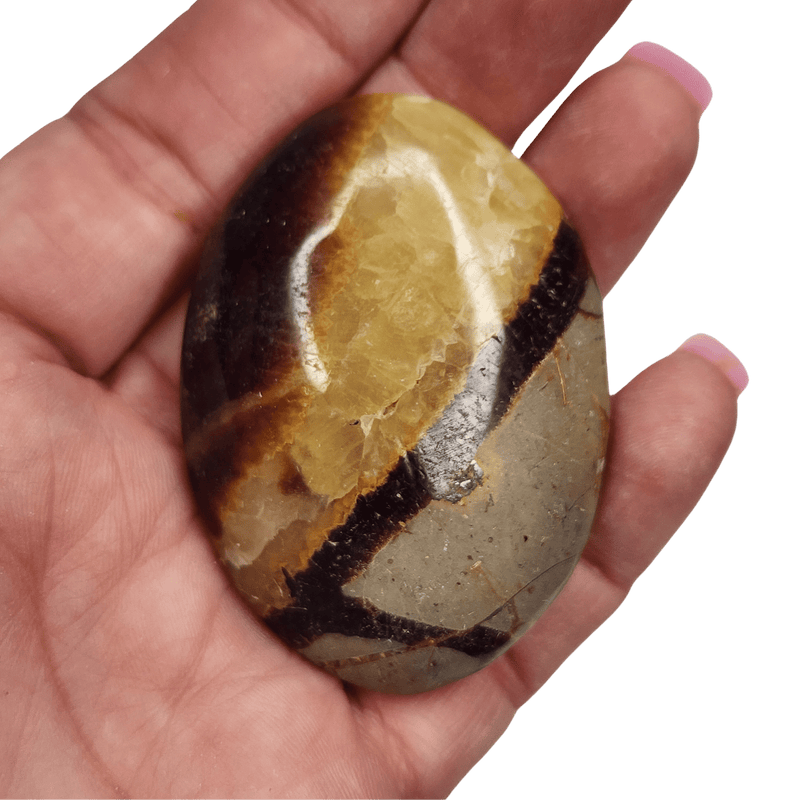 Septarian Palm